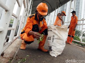 Aksi Pasukan Oranye Bersihkan JPO Casablanca