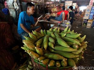 Aji Mumpung, Banyak Pedagang Sayur Mendadak Jadi Penjual Jagung