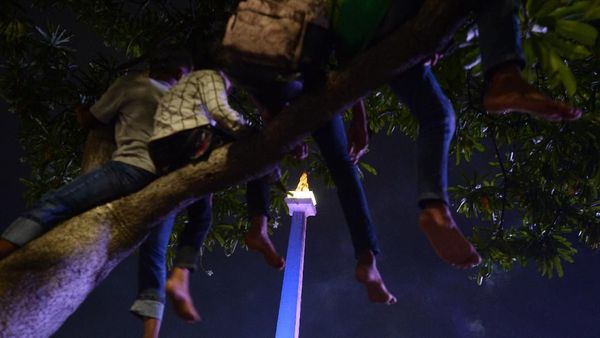 Foto: Memanjat Pohon Demi Rayakan Tahun Baru di Monas