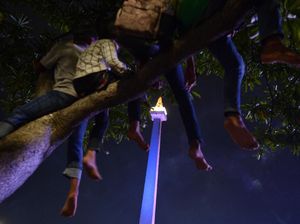 Foto: Memanjat Pohon Demi Rayakan Tahun Baru di Monas