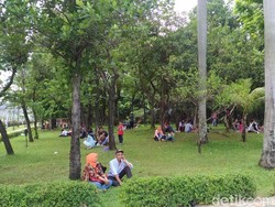 Meski Dilarang, Pengunjung Tetap Bersantai di Rumput Taman Monas