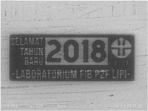 Unik! Ada Kartu Tahun Baru 2018 Terkecil, Cuma Seukuran Virus Polio