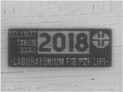 Unik! Ada Kartu Tahun Baru 2018 Terkecil, Cuma Seukuran Virus Polio