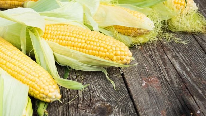 RI Mau Impor 171.660 Ton Jagung