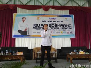 Cerita Rini Pangkas Jumlah BUMN Rugi dari 26 Jadi 12