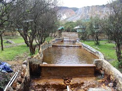 Ajaib, Ada Sungai Berwarna Kuning di Gunung Papandayan