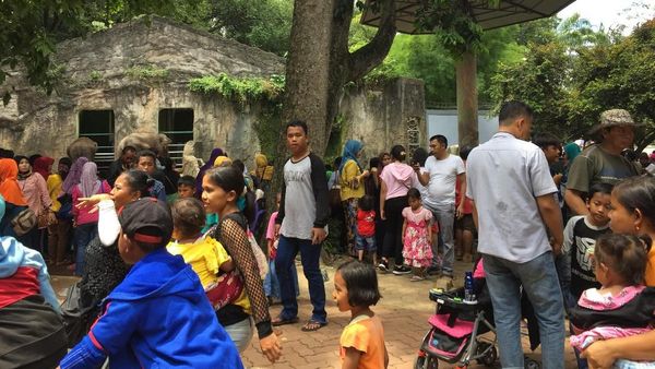 Foto: Begini Ramainya Ragunan di Libur Tahun Baru
