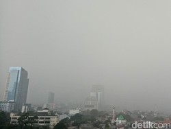 Hujan Angin, Ini Lokasi Pohon Tumbang di Jakarta