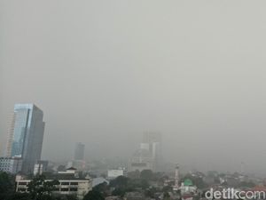 Hujan Angin, Ini Lokasi Pohon Tumbang di Jakarta Hujan Angin, Ini Lokasi Pohon Tumbang di Jakarta
