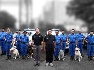 Jazz dan Para Pemburu Narkotika BNN