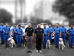 Jazz dan Para Pemburu Narkotika BNN