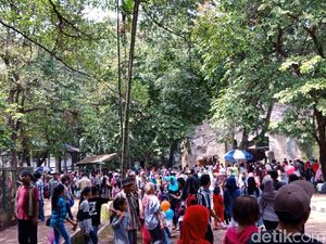 84 Ribu Pengunjung Padati Ragunan Siang Ini