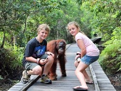 Para Yachter Dunia Akan Diajak Mengenal Orangutan dan Suku Dayak