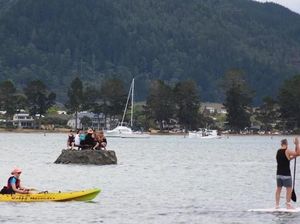 Foto: Cara Konyol Hindari Larangan Mabuk di Muka Umum