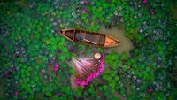 Deretan Foto Keren Karya Jawara Kontes Drone 2017