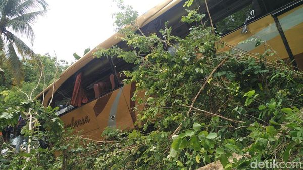 Penampakan Bus Pariwisata yang Masuk Jurang di Bantul