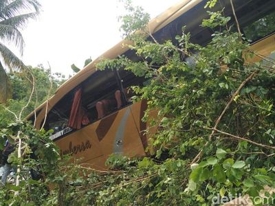 Penampakan Bus Pariwisata yang Masuk Jurang di Bantul