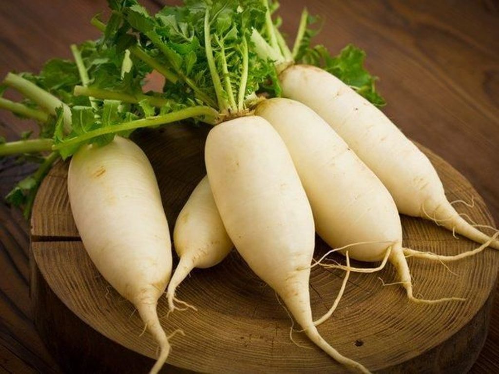 10 Sayuran Warna Putih Ini Bisa Jadi Menu Sehat Anda (2) 10 Sayuran Warna Putih Ini Bisa Jadi Menu Sehat Anda (2)