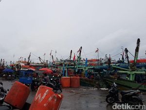 Sandi Mau Izinkan Cantrang, BPN: Yang Penting Nelayan Sejahtera Sandi Mau Izinkan Cantrang, BPN: Yang Penting Nelayan Sejahtera
