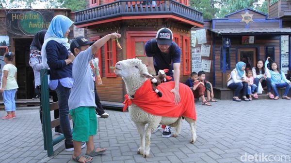 Foto: Ide Libur Akhir Pekan, Kebun Binatang Mini di Lembang
