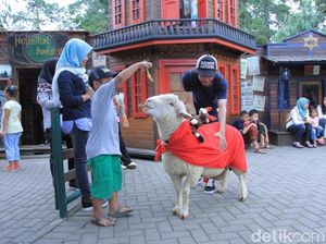 Foto: Ide Libur Akhir Pekan, Kebun Binatang Mini di Lembang