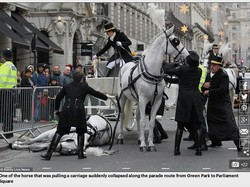 Kasihan, Seekor Kuda Pingsan di Parade Tahun Baru London