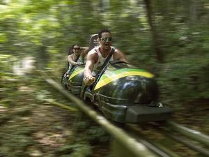 Foto: Main Kereta Luncur Salju, Tapi di Hutan Jamaika
