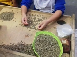 Pangalengan yang Pas Banget Buat Pecinta Kopi