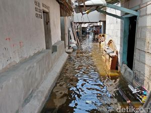Banjir Rob Rendam Rumah Warga Blok Empang Muara Angke