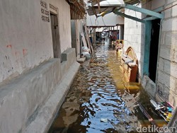 Banjir Rob Rendam Rumah Warga Blok Empang Muara Angke