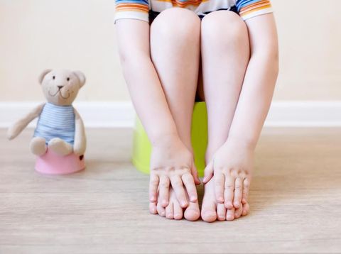 the idea of training the child to the potty with a toy bear, which also sits on a toy potty