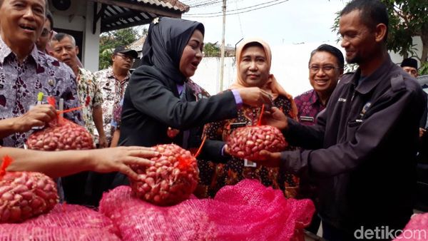 Wah, PNS dan Polisi Brebes Borong Bawang Merah