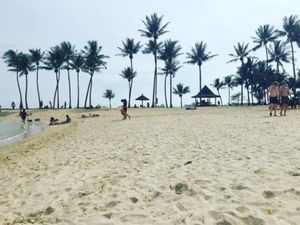 Pantai yang Indah di Singapura