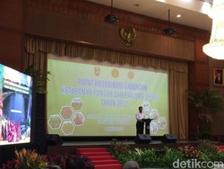 Gelar Rapat Pangan, Mentan: RI Swasembada Beras Hingga Bawang