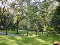 Taman Cantik Langganan Film Avengers dan Hollywood