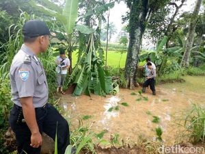 Lima Petani Tersambar Petir di Jepara, Satu Tewas