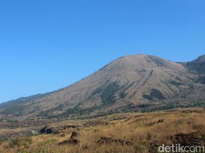 Kebakaran Hutan Terjadi Lagi di Gunung Guntur Garut