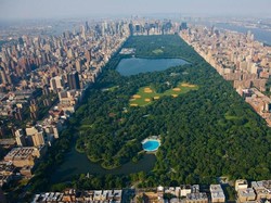 Aneka Respons Nyeleneh Traveler di 5 Destinasi Wisata Dunia