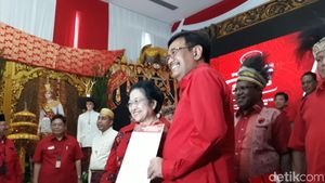 Diusung Jadi Cagub Sumut, Djarot Cium Tangan Megawati