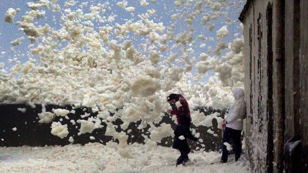 Busa Mendadak Muncul dari Laut Prancis, Ada Apa?