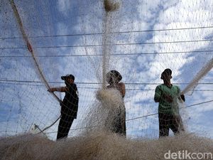Sempat Dilarang Susi, Cantrang Dibolehkan Lagi buat Tangkap Ikan Sempat Dilarang Susi, Cantrang Dibolehkan Lagi buat Tangkap Ikan