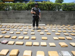 Ada 113 Kawasan di Jakarta Masuk Zona Merah Narkoba