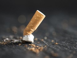 Petani Minta Kenaikan Cukai Rokok Ditunda