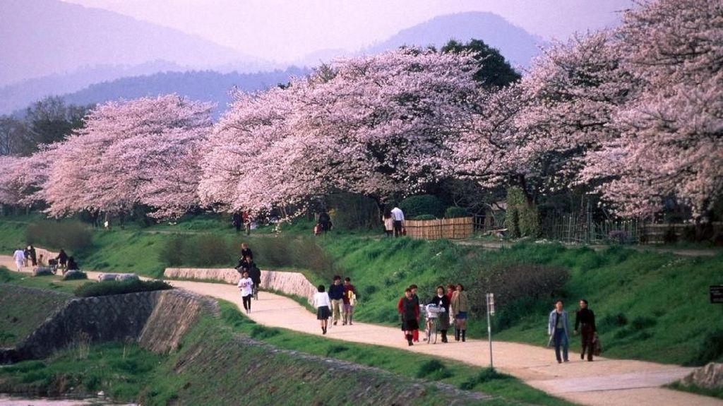Cantiknya Kyoto yang Dicontoh untuk Kawasan Tanah Abang Cantiknya Kyoto yang Dicontoh untuk Kawasan Tanah Abang