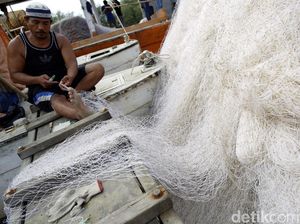 Benarkah Larangan Cantrang Bikin Penghasilan Nelayan Berkurang?