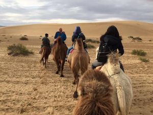 Satu Pasien Virus Corona, Mongolia Langsung Isolasi Seluruh Negeri