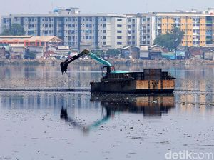 Jelang Musim Hujan, Pemprov DKI Keruk 14 Waduk Jelang Musim Hujan, Pemprov DKI Keruk 14 Waduk