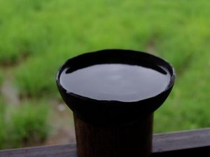 Menyeruput Kawa Daun, Kopi Perjuangan yang Bersejarah