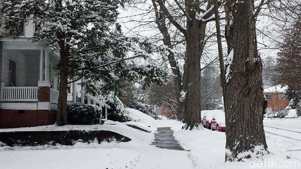 Merasakan Hidup Pada Suhu -20 Derajat Celcius di AS