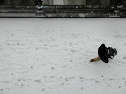 Kegiatan Transportasi Udara di AS Terhambat Akibat Badai Eleanor